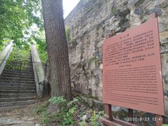 -阳台山自然风景区