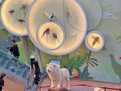 -陕西自然博物馆