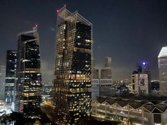 -新加坡瑞士史丹福酒店