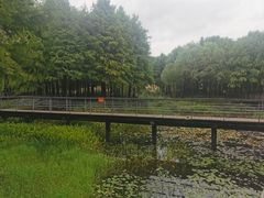 -尚贤河湿地