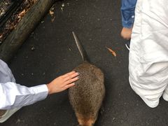 -费瑟代尔野生动物园