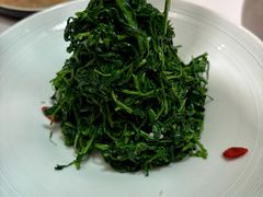 红果枸杞苗-清真·宁夏印象·盐池滩羊肉体验店(江宁路店)