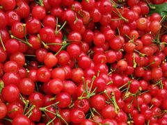 -樱桃山旅游景区