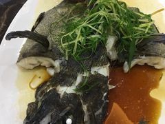 -蚝专家(北滘店)