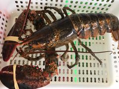 -外伶仃岛海鲜市场