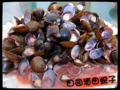 android_upload_pic-龙泉山庄