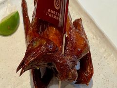 非遗红烧乳鸽-侨美食家·41年地道粤菜(珠江新城店)