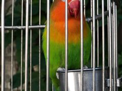 -卧龙堡客栈·中餐厅(古北水镇店)