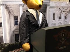 -济州岛泰迪熊博物馆