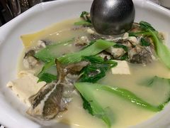 -强记海鲜·大排档(蛇口新街店)