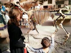 -陕西自然博物馆