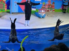 -成都浩海立方海洋公园