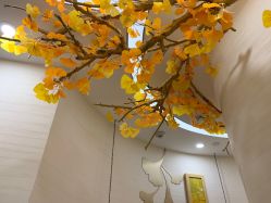 -芳朵美容养生SPA