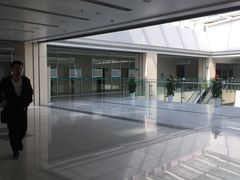 -山东大学齐鲁医院(青岛院区)