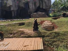 -海南热带野生动植物园