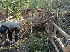 -青龙山国家森林公园