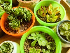 -吃饼人西餐(南开店)