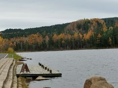 -五营红松林海景区