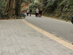 -云溪植物园