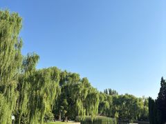 -阿尔丁植物园