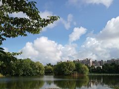 -新江湾城公园