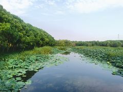 -同里国家湿地公园