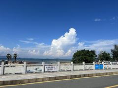 -杨梅坑