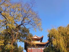 -宝通禅寺