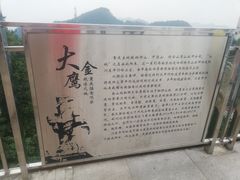 -大金鹰园