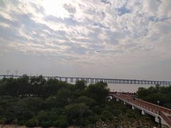 -宝安西湾红树林湿地公园