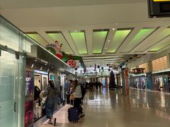 -华盛顿杜勒斯国际机场