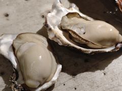 -破瓦寒窑·地摊烤羊排