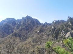 -王顺山国家森林公园