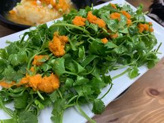 -海胆小馆(东北水饺·春柳店)