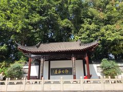 -深圳国际园林花卉博览园