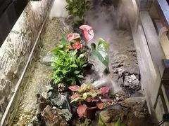 -首秀·四川料理(星耀101店)