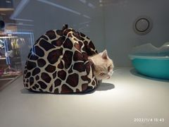 -龟与熊猫宠物公园(南坪店)