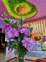 -花隐·美芙炫海菲秀皮肤管理中心