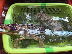 -班赞海鲜市场