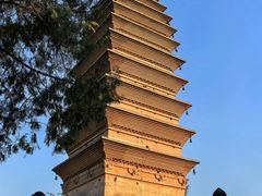 -洛阳白马寺