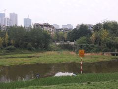-重庆彩云湖湿地公园