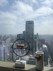 -久匠·纹眉半永久野生眉