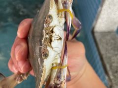 -马王堆海鲜水产市场