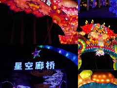 -欢乐海岸椰林沙滩-2025湾区超级灯会