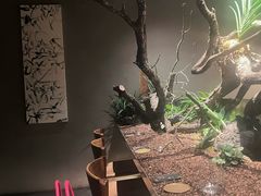 -曲廊院(东四十一条店)