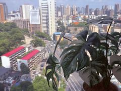 -芷迹江景酒店(五一广场汇景城店)