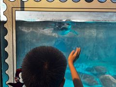 -海合安武汉极地海洋公园