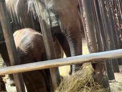 -石家庄市动物园