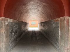-北陵公园