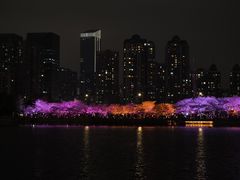 -西北湖绿化广场